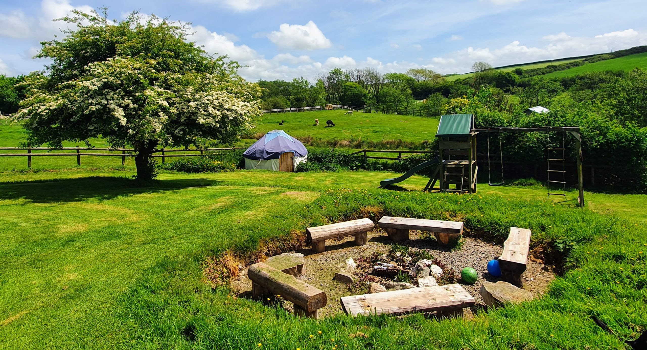 yurt campfire